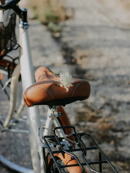 Specialized Bridge Sport Saddle
